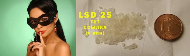 эйфоретик Строитель