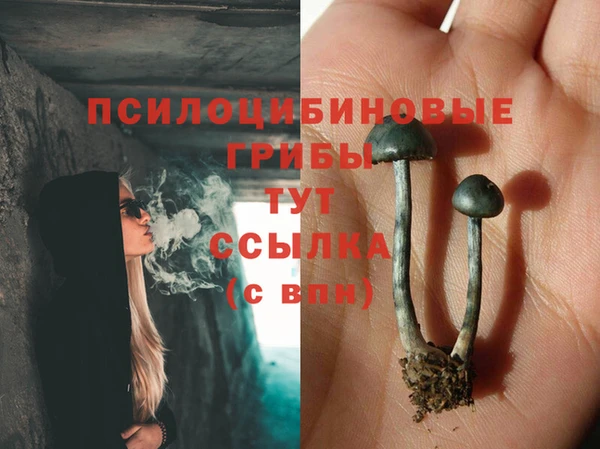 стаф Мегион