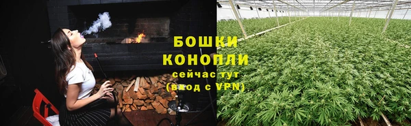стаф Мегион