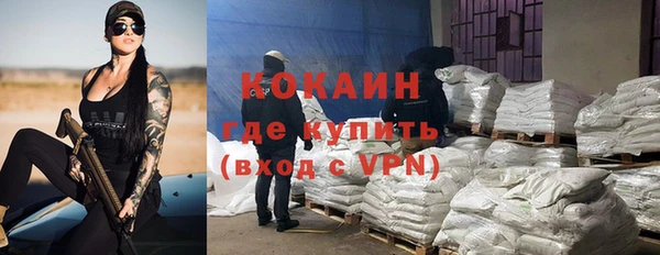 твердый Дубна