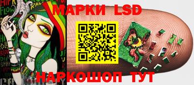 СК Абакан