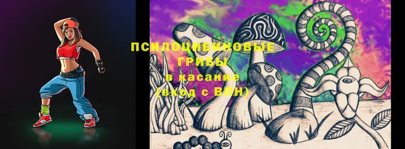 дарнет шоп  Истра  Галлюциногенные грибы MAGIC MUSHROOMS 