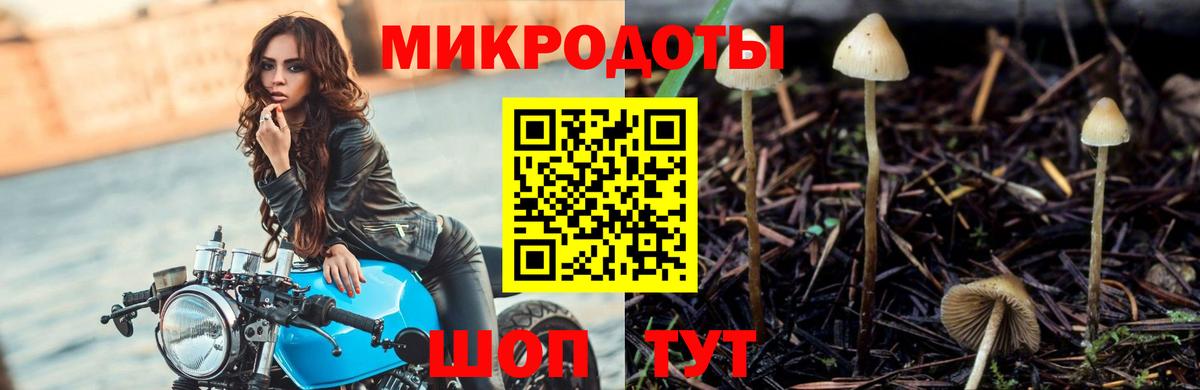Псилоцибиновые грибы Magic Shrooms  Вход с VPN  Псилоцибиновые грибы ЛСД  Истра 