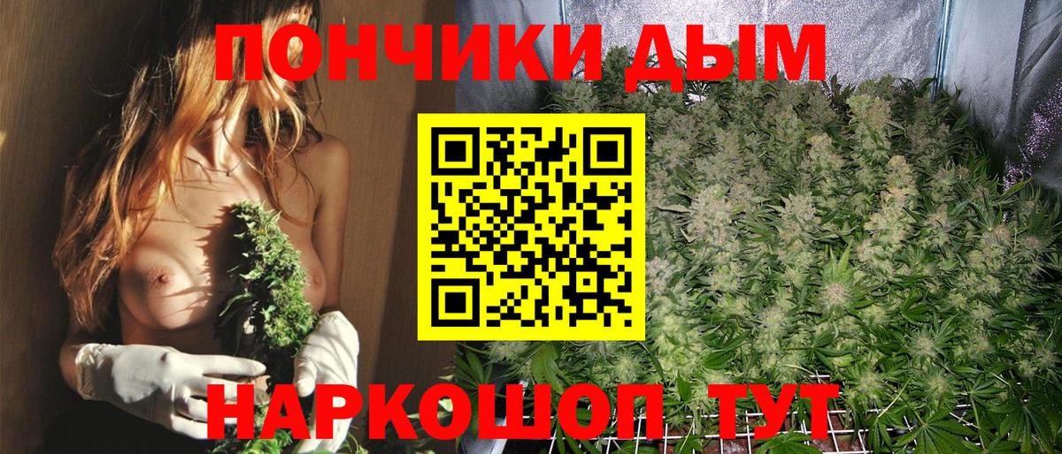 МАРИХУАНА семена  Истра  Конопля гибрид  Марихуана марихуана 